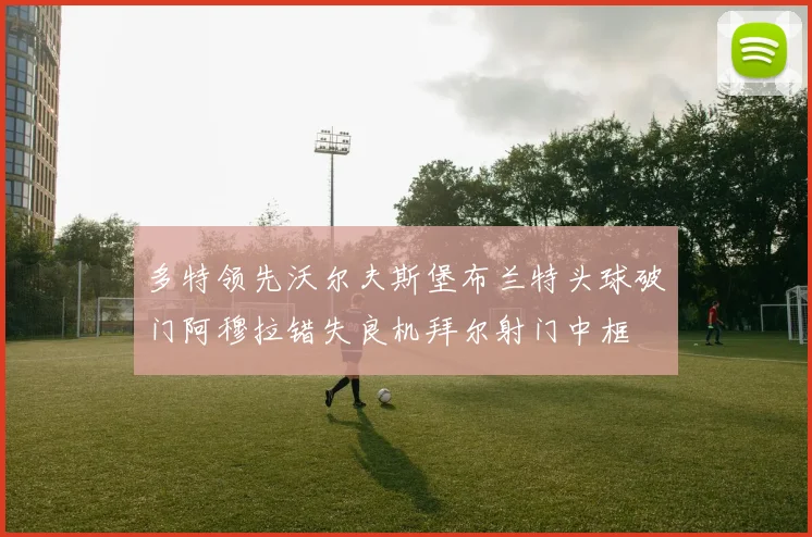 多特领先沃尔夫斯堡布兰特头球破门阿穆拉错失良机拜尔射门中框